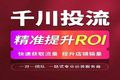 SEO与SEM优化案例：助力企业网站流量增长
